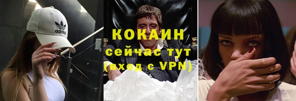 бошки Инта