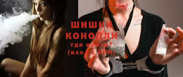 бошки Инта